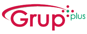Logo Group Plus Ltd