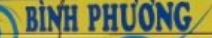 Logo Binh Phuong